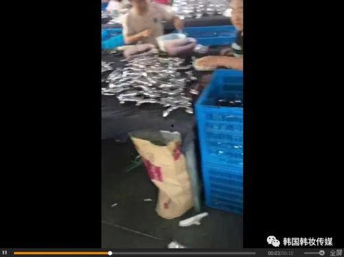 假鸡血爆料制作过程视频,视频带你一探究竟  第1张